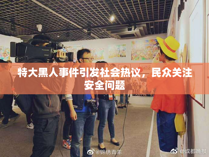 特大黑人事件引发社会热议，民众关注安全问题