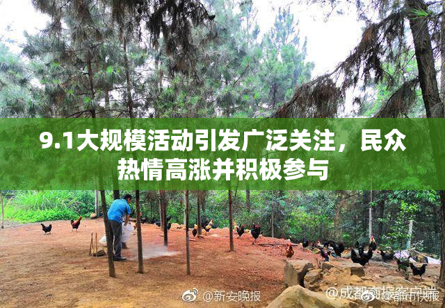 9.1大规模活动引发广泛关注，民众热情高涨并积极参与