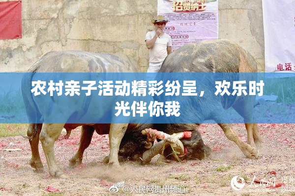 农村亲子活动精彩纷呈，欢乐时光伴你我