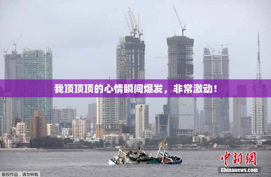 我顶顶顶的心情瞬间爆发，非常激动！