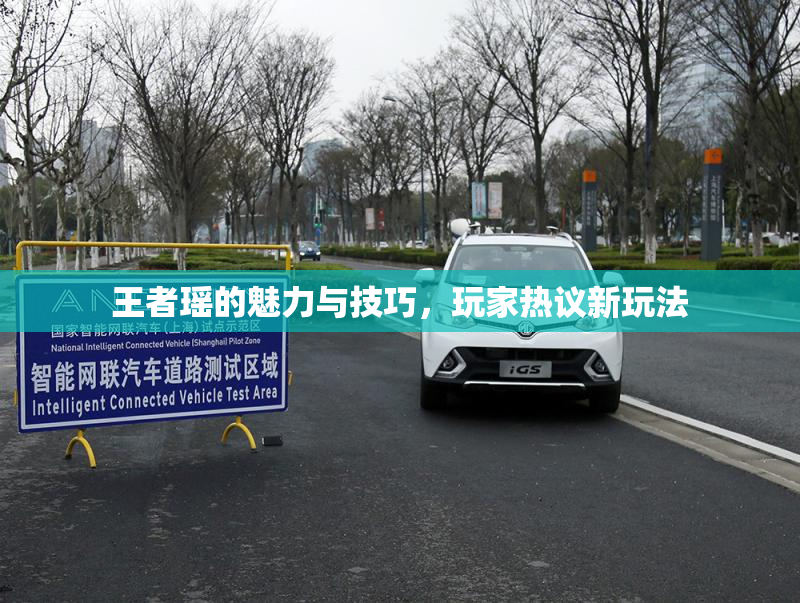 王者瑶的魅力与技巧，玩家热议新玩法