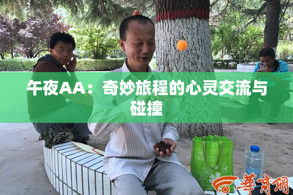 午夜AA：奇妙旅程的心灵交流与碰撞