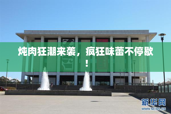 炖肉狂潮来袭，疯狂味蕾不停歇！