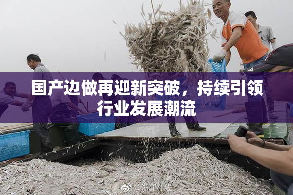 国产边做再迎新突破，持续引领行业发展潮流