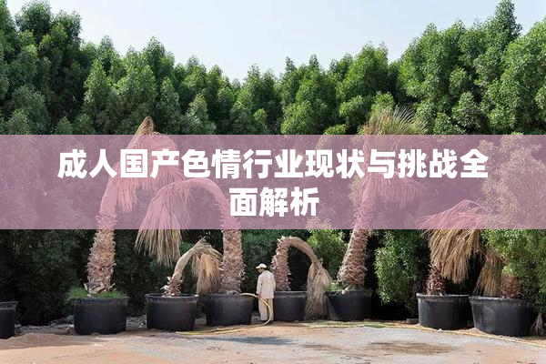 成人国产色情行业现状与挑战全面解析