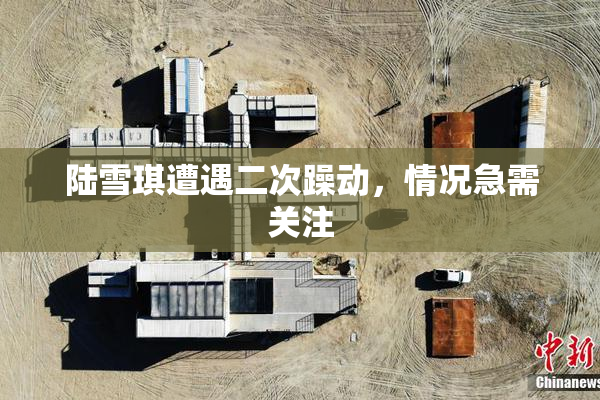 陆雪琪遭遇二次躁动，情况急需关注
