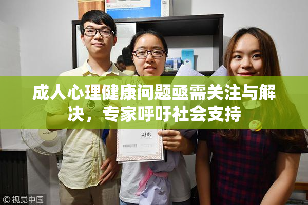 成人心理健康问题亟需关注与解决，专家呼吁社会支持