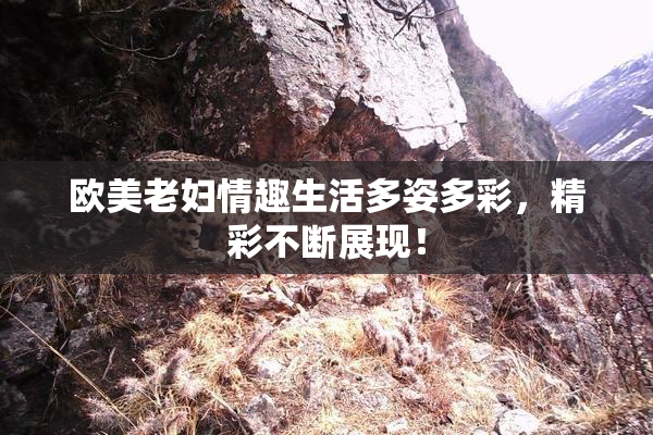欧美老妇情趣生活多姿多彩，精彩不断展现！