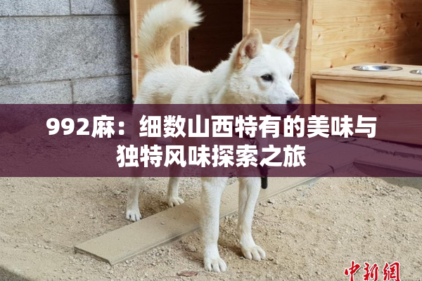 992麻：细数山西特有的美味与独特风味探索之旅