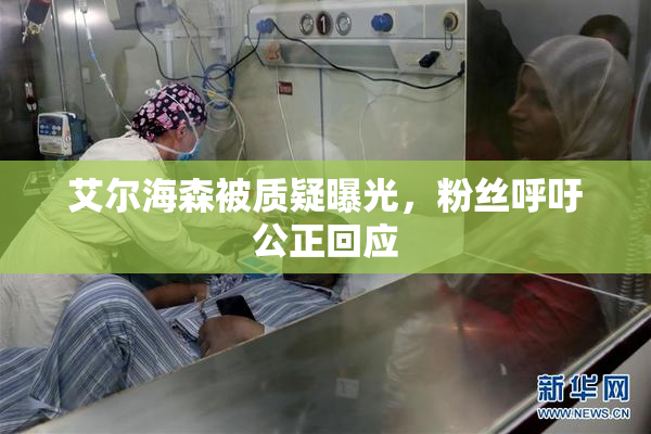 艾尔海森被质疑曝光，粉丝呼吁公正回应