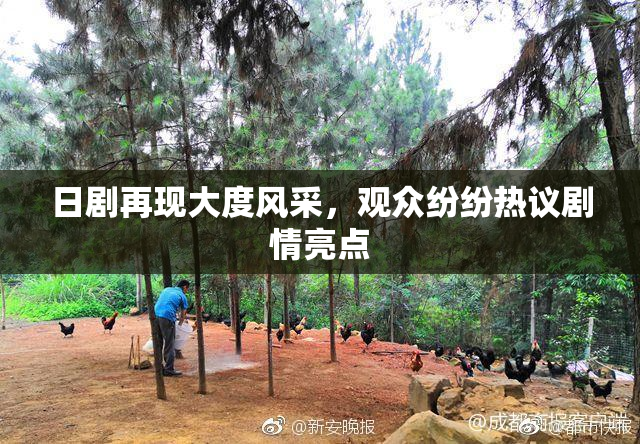 日剧再现大度风采，观众纷纷热议剧情亮点