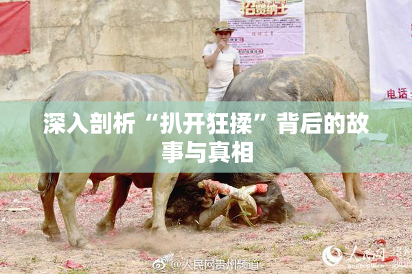 深入剖析“扒开狂揉”背后的故事与真相