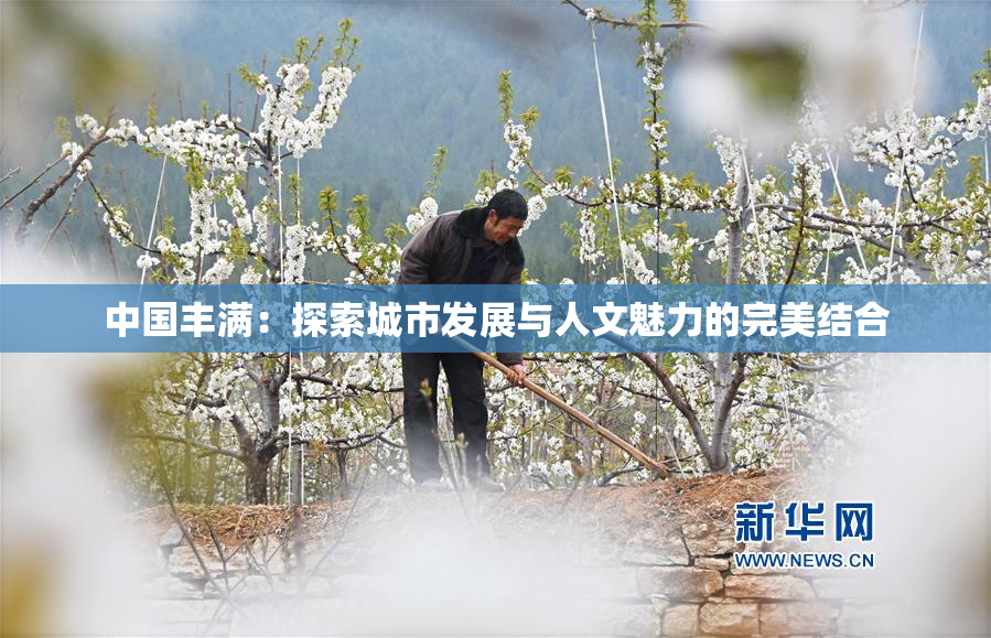 中国丰满：探索城市发展与人文魅力的完美结合