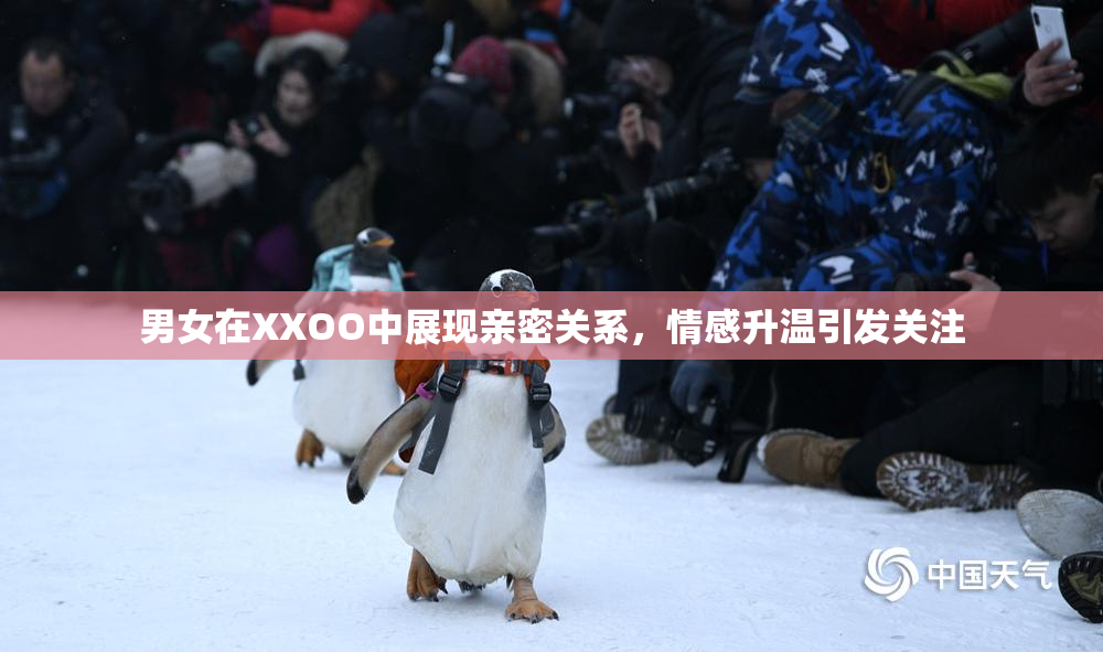 男女在XXOO中展现亲密关系，情感升温引发关注