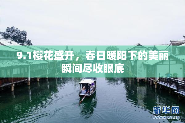9.1樱花盛开，春日暖阳下的美丽瞬间尽收眼底