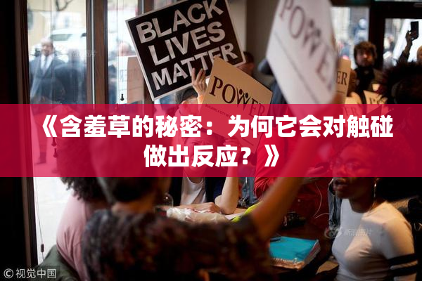 《含羞草的秘密：为何它会对触碰做出反应？》