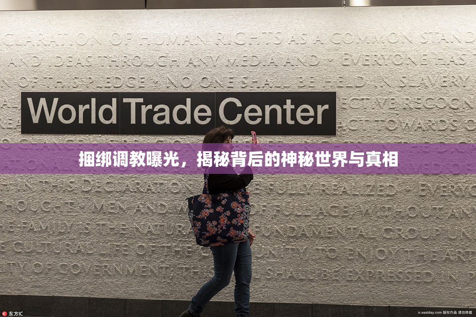 捆绑调教曝光，揭秘背后的神秘世界与真相