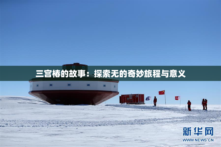 三宫椿的故事：探索无的奇妙旅程与意义