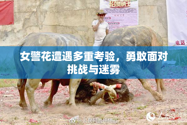 女警花遭遇多重考验，勇敢面对挑战与迷雾