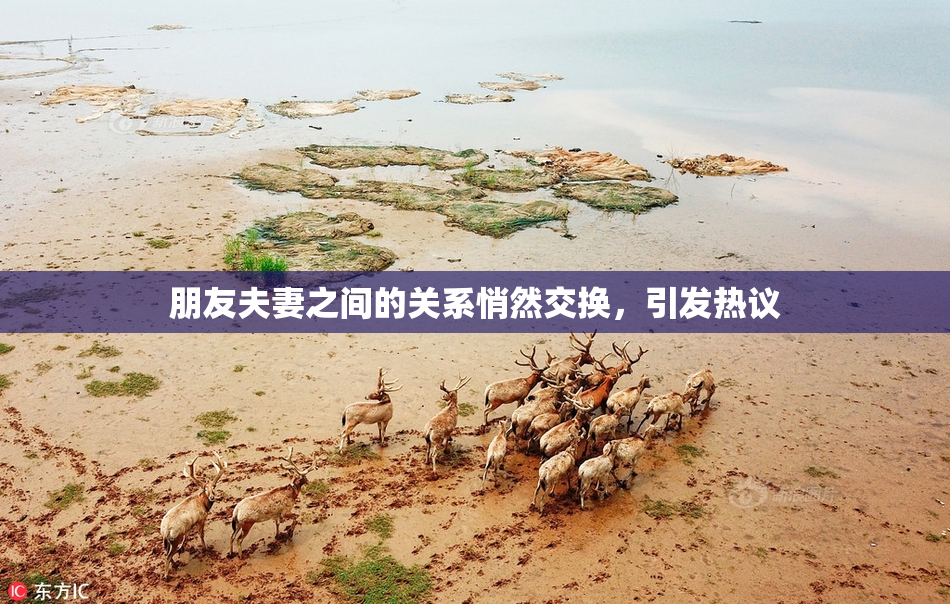 朋友夫妻之间的关系悄然交换，引发热议