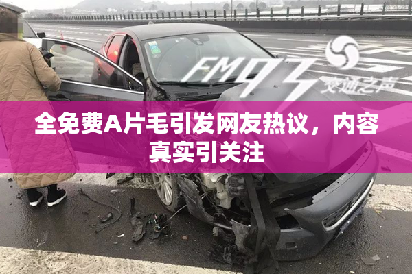 全免费A片毛引发网友热议，内容真实引关注