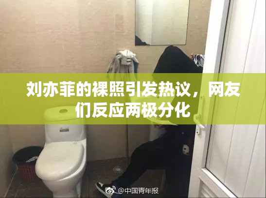 刘亦菲的裸照引发热议，网友们反应两极分化