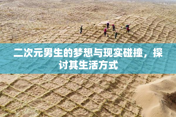 二次元男生的梦想与现实碰撞，探讨其生活方式