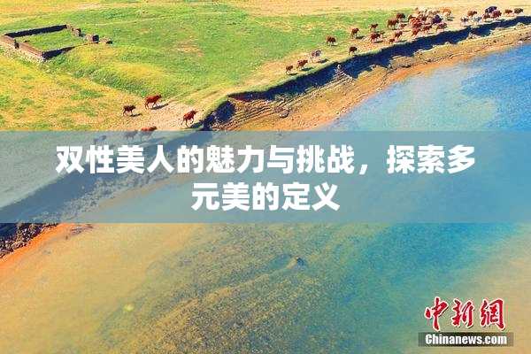 双性美人的魅力与挑战，探索多元美的定义