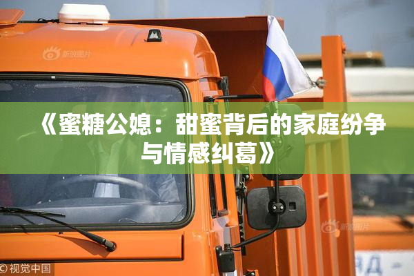 《蜜糖公媳：甜蜜背后的家庭纷争与情感纠葛》