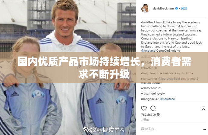 国内优质产品市场持续增长，消费者需求不断升级