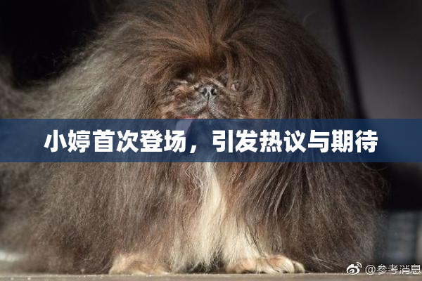 小婷首次登场，引发热议与期待