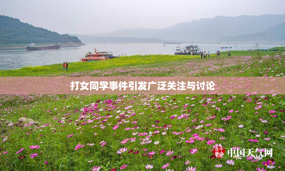 打女同学事件引发广泛关注与讨论