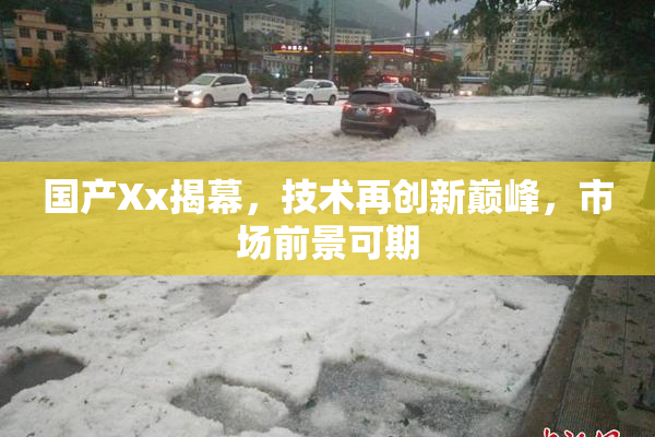 国产Xx揭幕，技术再创新巅峰，市场前景可期