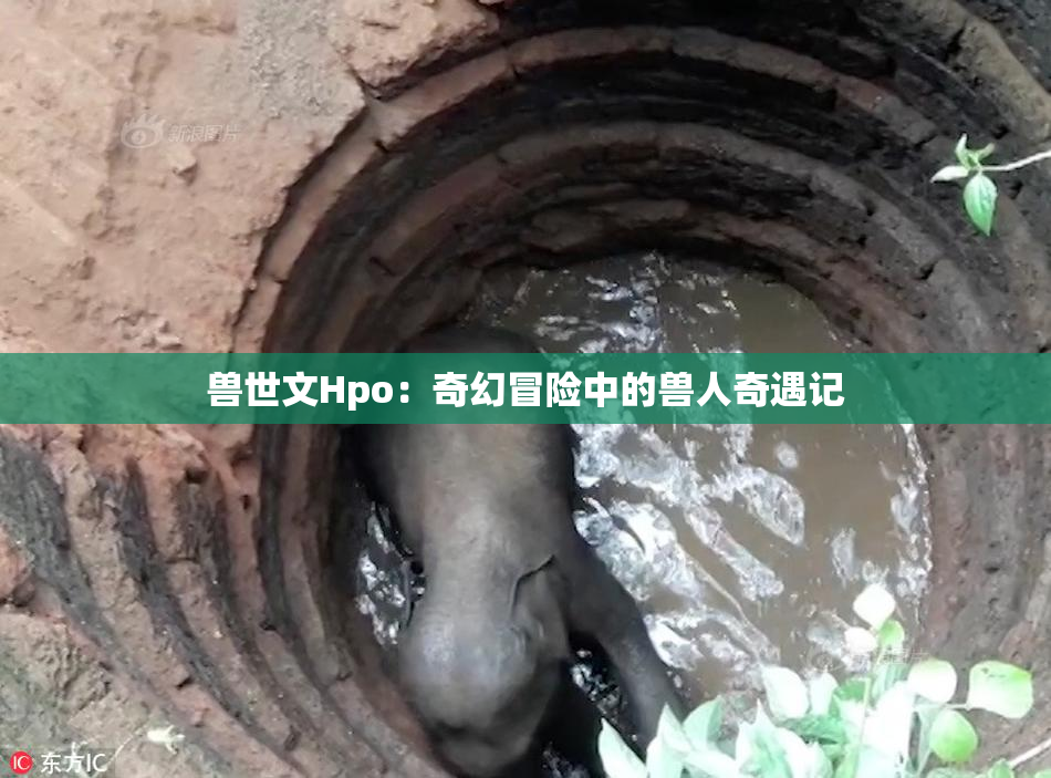 兽世文Hpo：奇幻冒险中的兽人奇遇记
