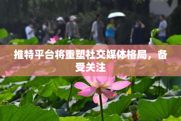 推特平台将重塑社交媒体格局，备受关注