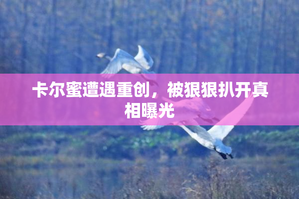 卡尔蜜遭遇重创，被狠狠扒开真相曝光
