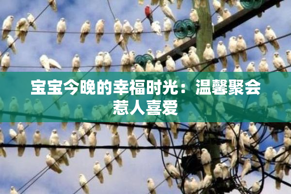 宝宝今晚的幸福时光：温馨聚会惹人喜爱