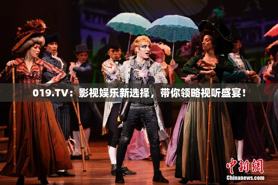 019.TV：影视娱乐新选择，带你领略视听盛宴！