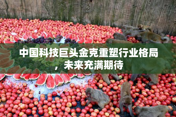 中国科技巨头金克重塑行业格局，未来充满期待