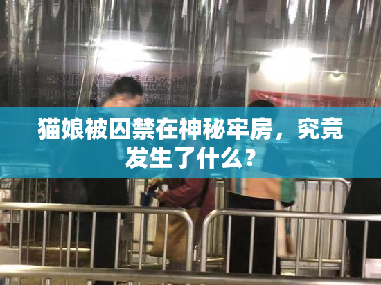 猫娘被囚禁在神秘牢房，究竟发生了什么？