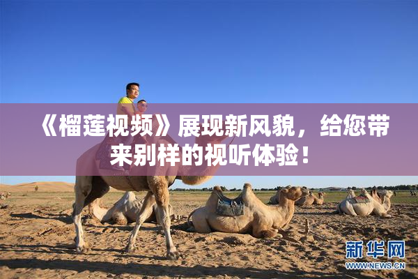 《榴莲视频》展现新风貌，给您带来别样的视听体验！