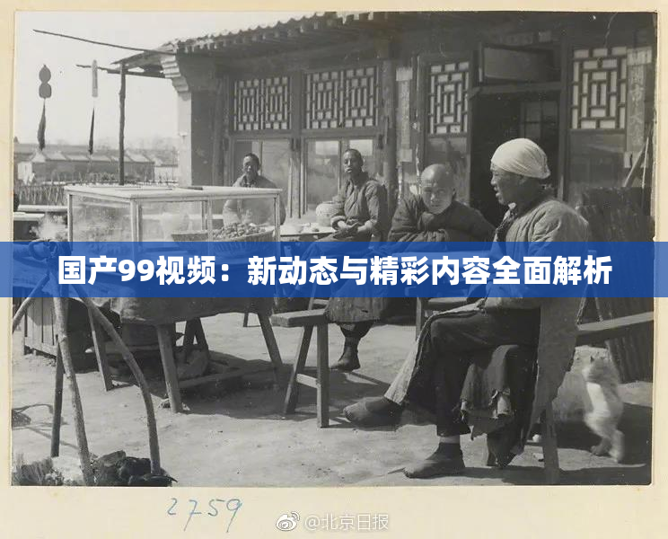 国产99视频：新动态与精彩内容全面解析