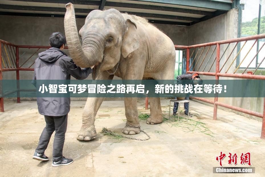 小智宝可梦冒险之路再启，新的挑战在等待！