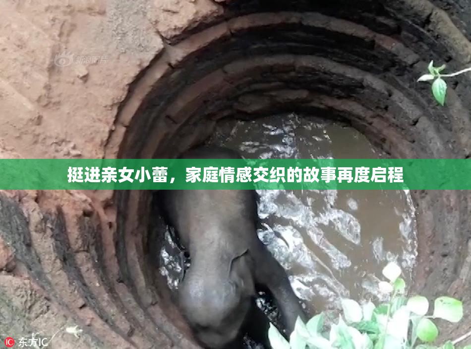 挺进亲女小蕾，家庭情感交织的故事再度启程
