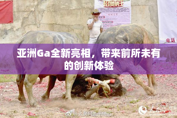 亚洲Ga全新亮相，带来前所未有的创新体验