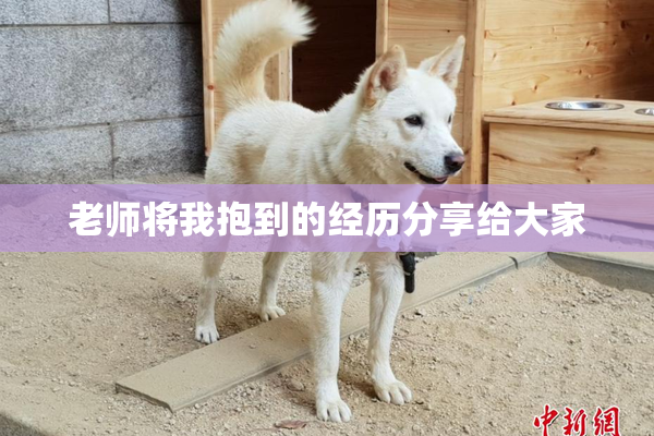老师将我抱到的经历分享给大家