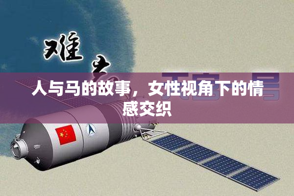 人与马的故事，女性视角下的情感交织