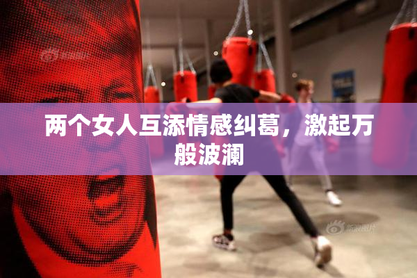两个女人互添情感纠葛，激起万般波澜