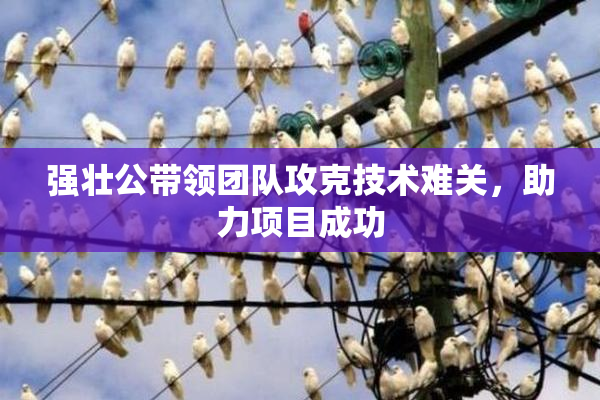 强壮公带领团队攻克技术难关，助力项目成功
