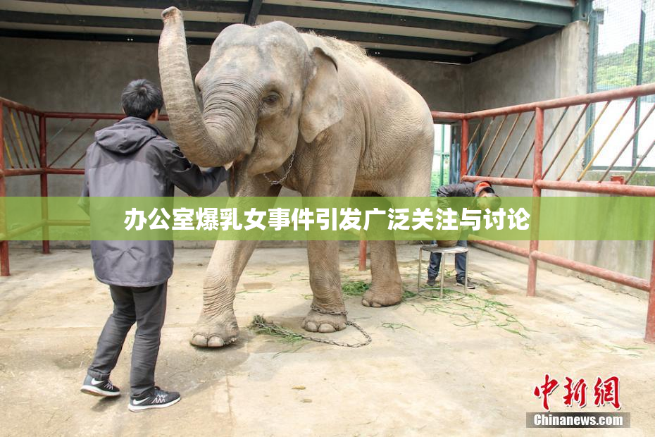 办公室爆乳女事件引发广泛关注与讨论